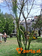 Bild 33