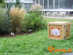 Bild 54