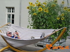 Bild 65