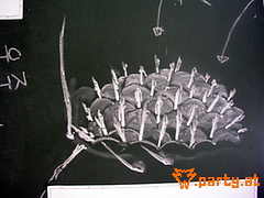 Bild 94
