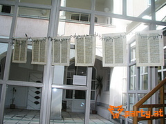 Bild 95