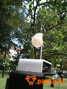 Bild 102