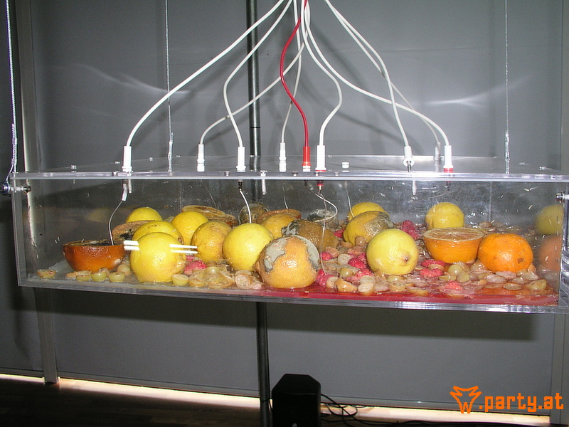 Bild 13