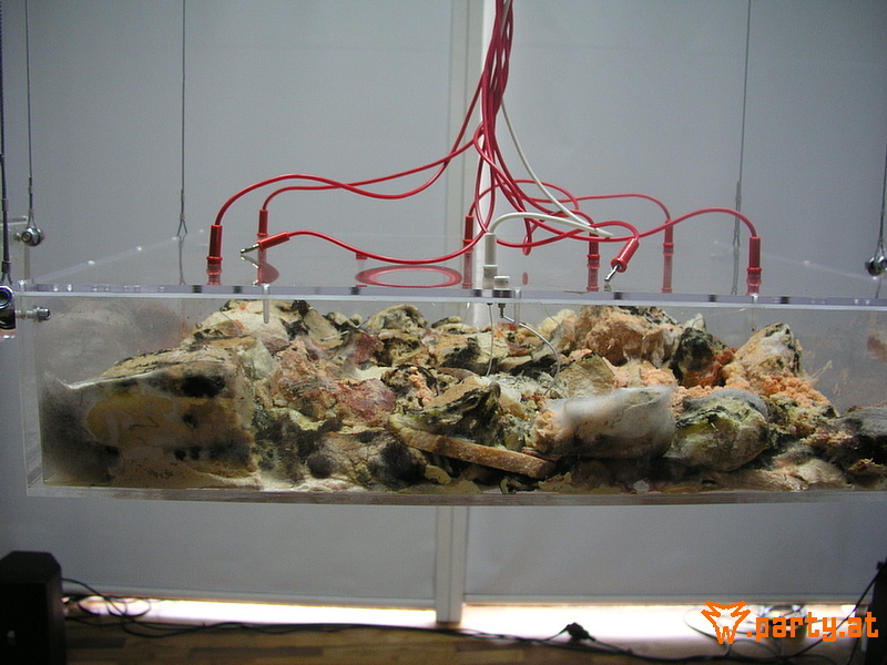 Bild 14