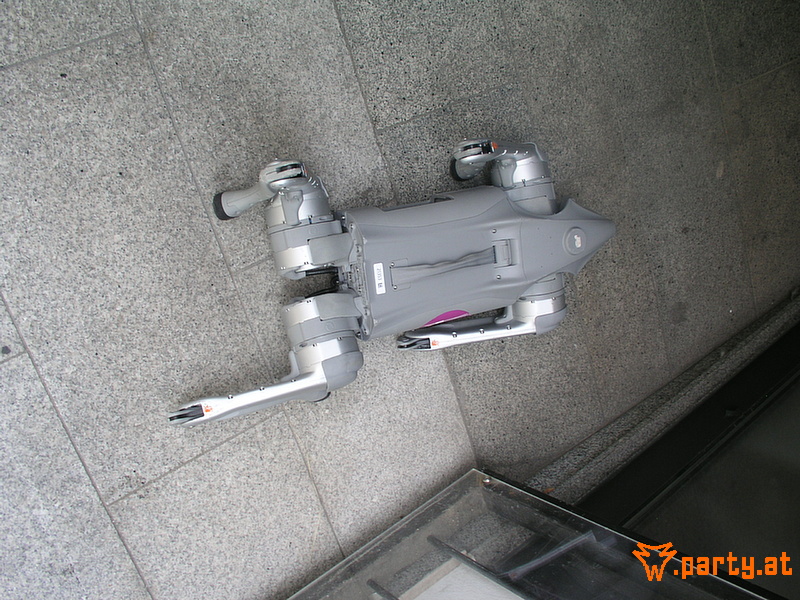 Bild 23