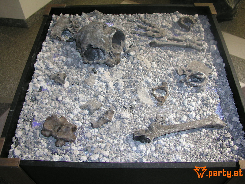 Bild 24