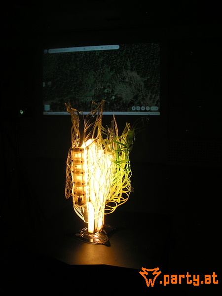 Bild 42