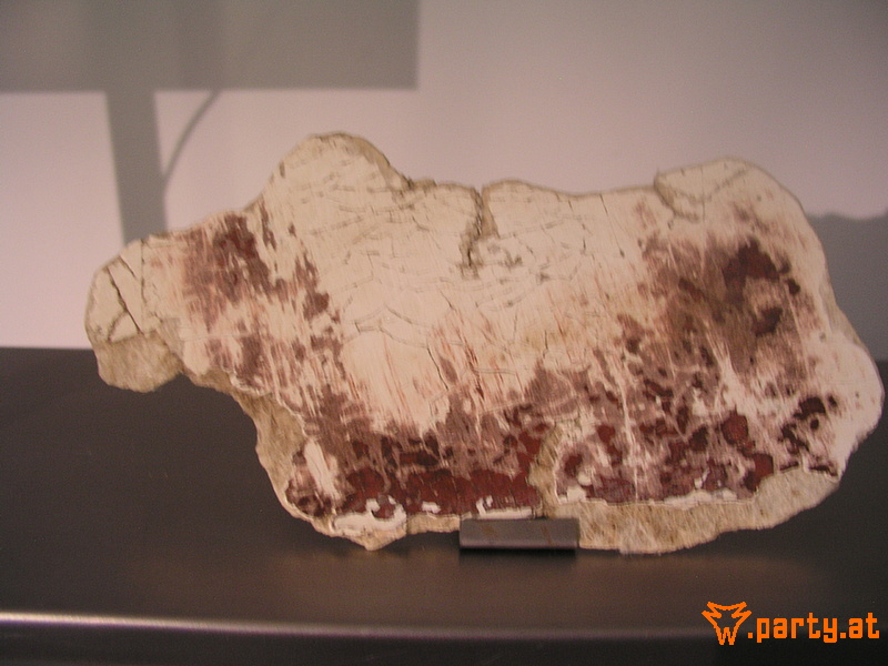 Bild 52
