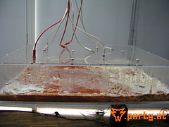 Bild 15