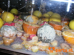 Bild 17