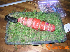 Bild 18