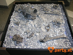 Bild 24