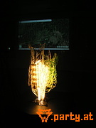 Bild 42