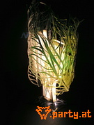Bild 43