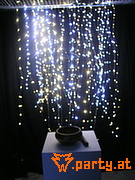 Bild 49