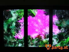 Bild 51