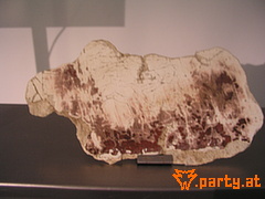 Bild 52