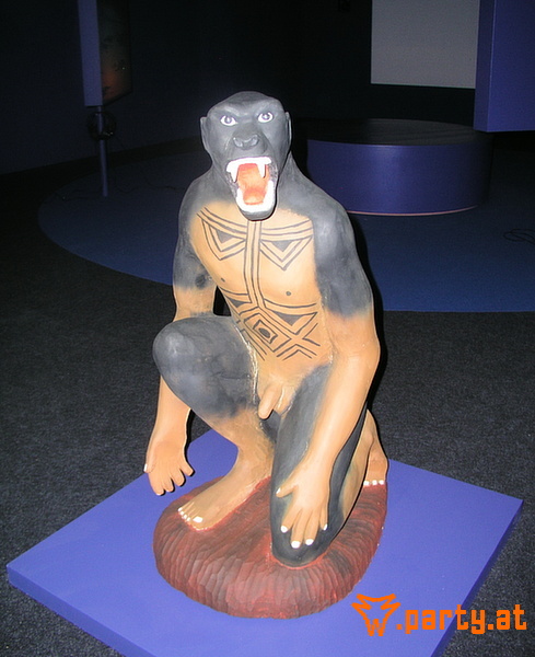 Bild 38