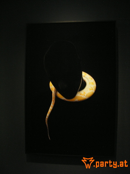 Bild 41