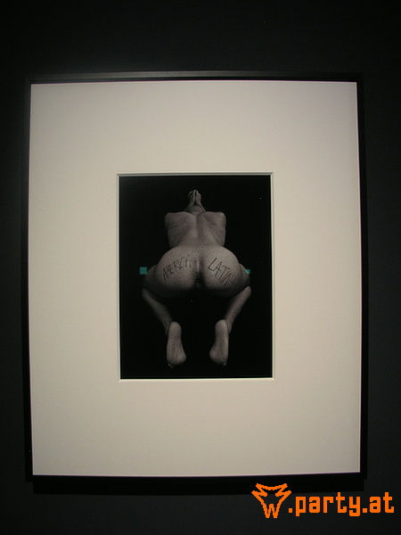 Bild 44