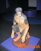 Bild 38