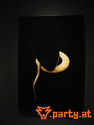 Bild 41