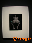 Bild 44