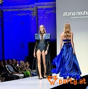 Bild 52