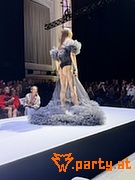 Bild 41