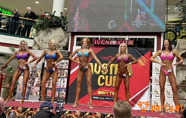 Bild 16
